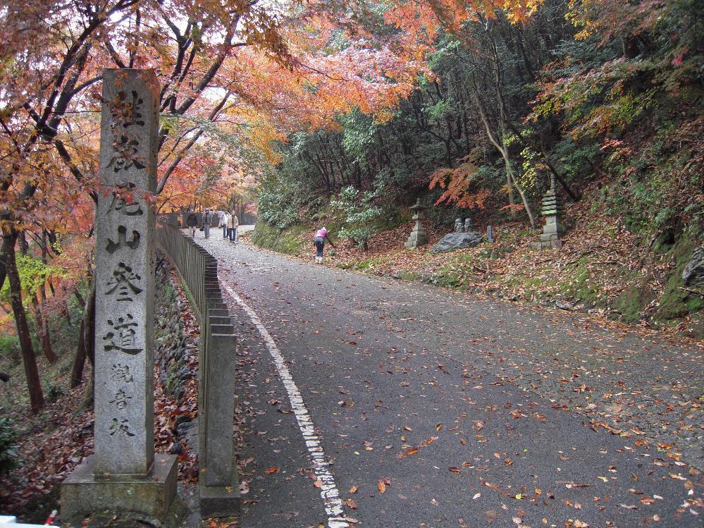 a!Heart supercar 011.jpg